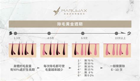 男生陰毛長度|「男性除毛指南」多久要除一次毛？醫：這個部位的毛，長出來就。